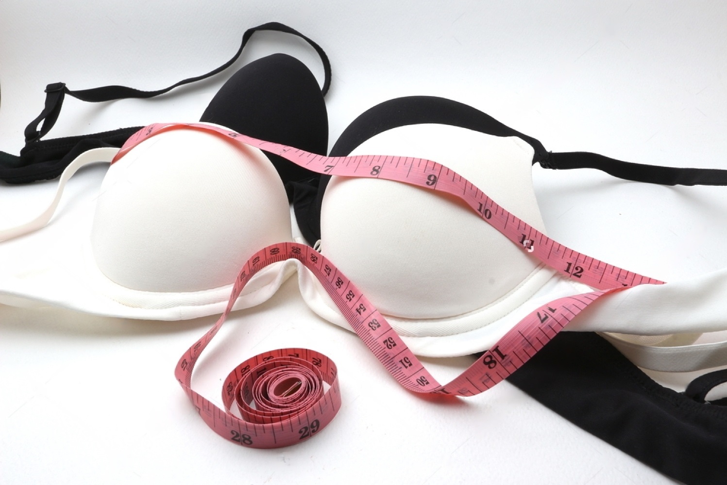How A lot Is The Value of A Customized Bra in 2025?